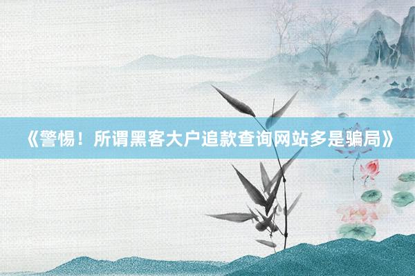 《警惕！所谓黑客大户追款查询网站多是骗局》